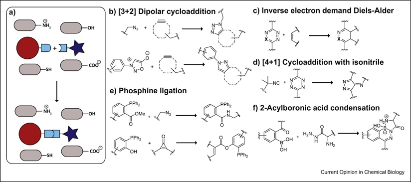 1619076981875095565.png C:UsersLenovoDesktop