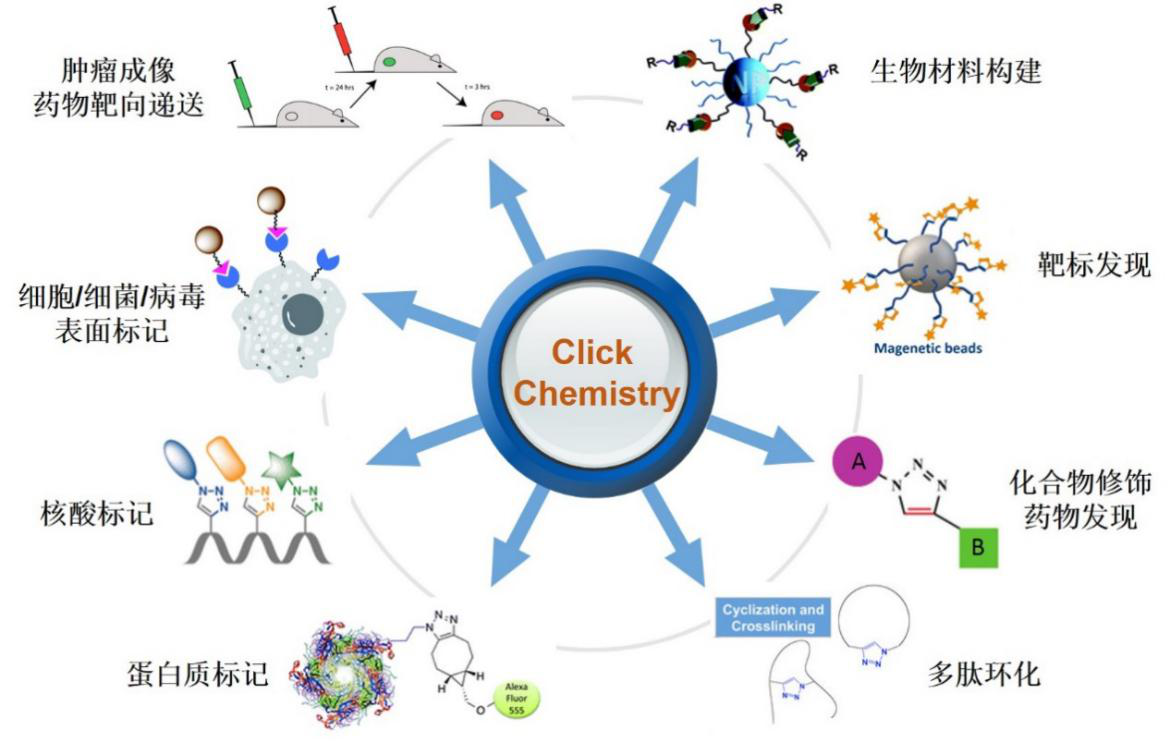 1619077057031038000.png C:UsersLenovoDesktop