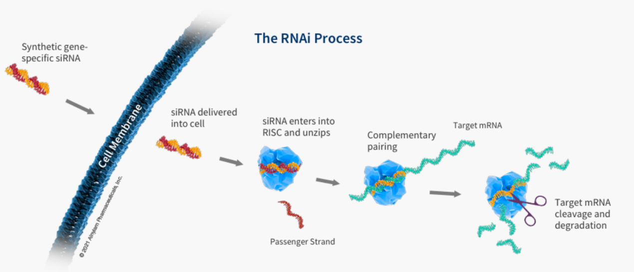 1621836914671009301.png 图片3.png